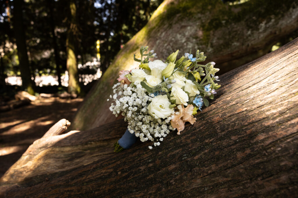 Hochzeit Trotte Villigen – Paarshooting
