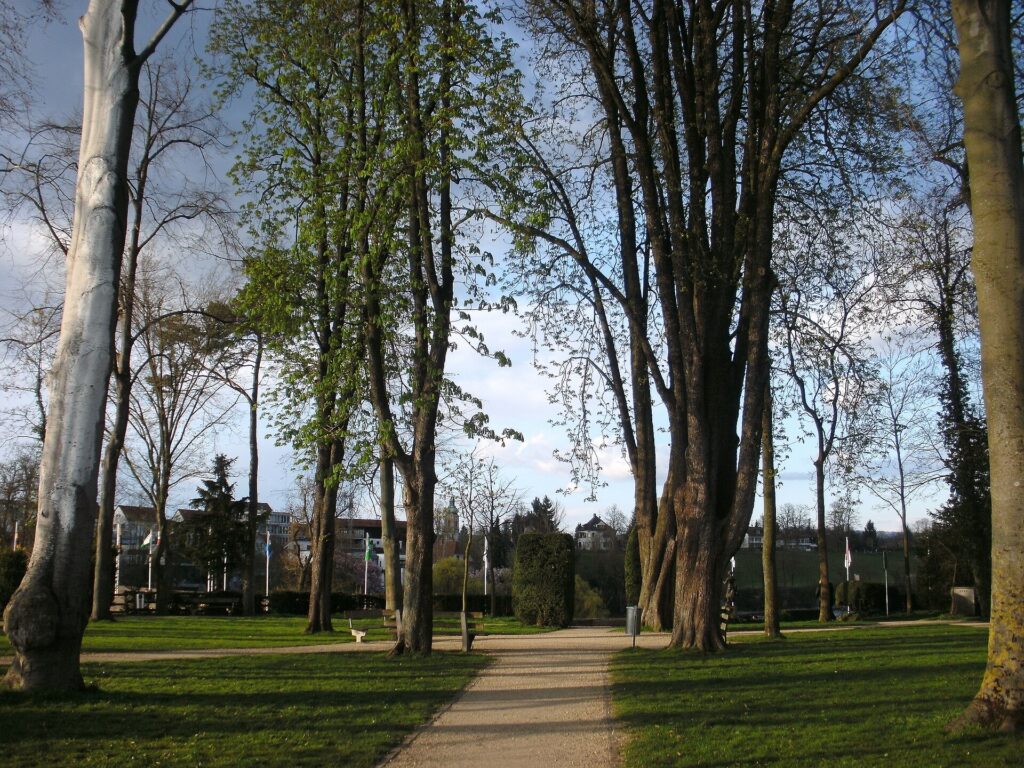 Inseli am Rhein – Hochzeitslocation