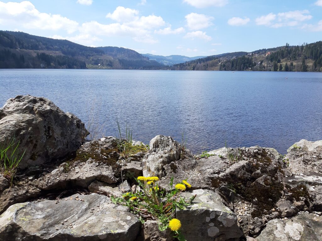 Titisee – Hochzeitslocation